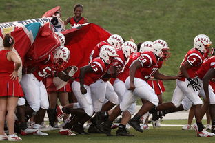 爱游戏app-全国青少年长跑赛在南京掀起跑步热潮，青少年长跑标准